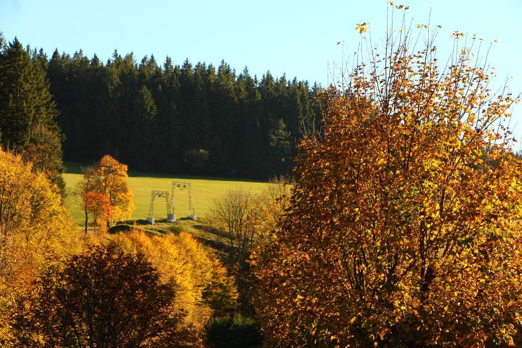 ホテル Gasthof Schwarzwaldtanne Schönwalde エクステリア 写真